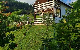 Natural House